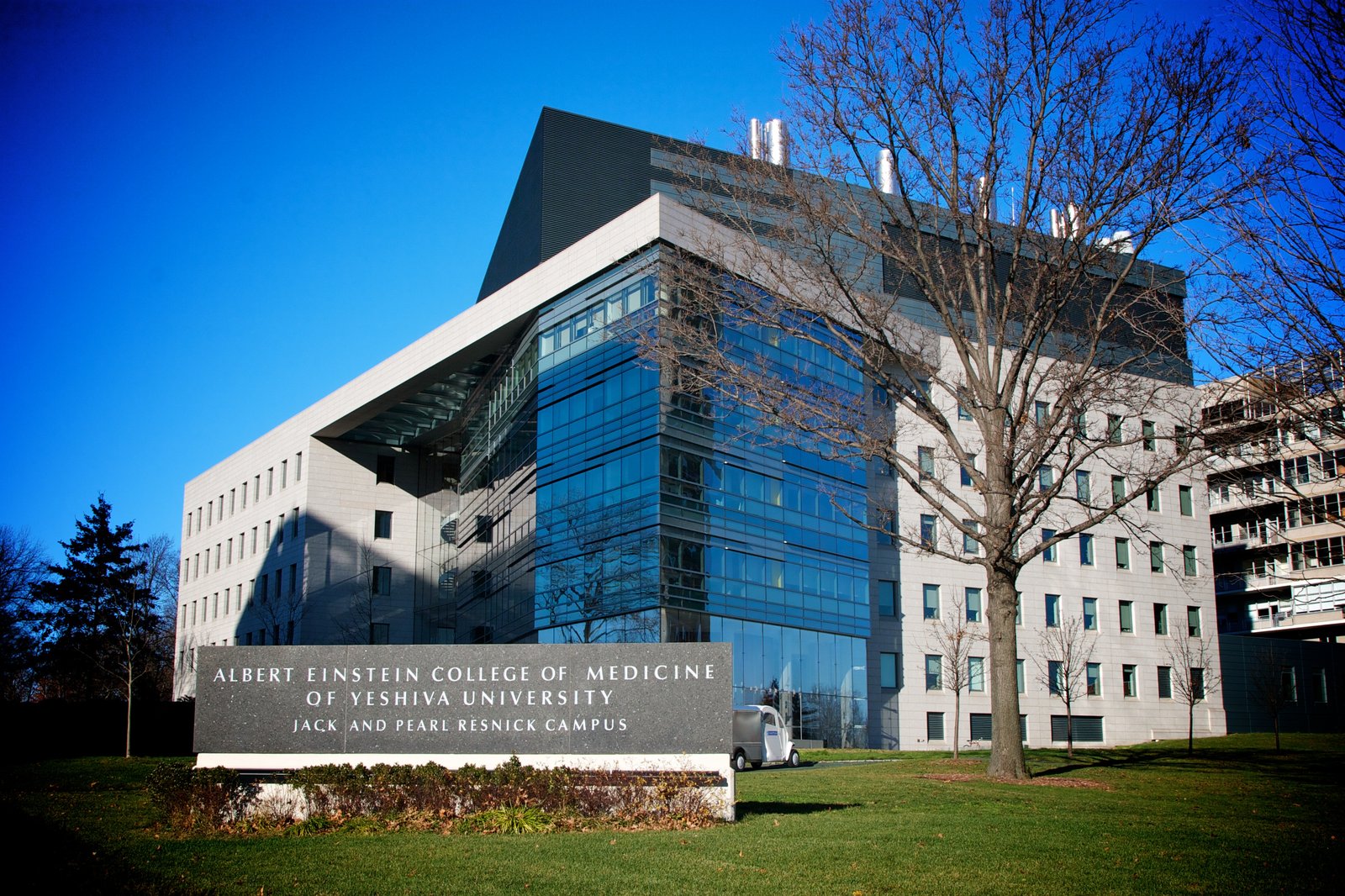 Albert Einstein College of Medicine