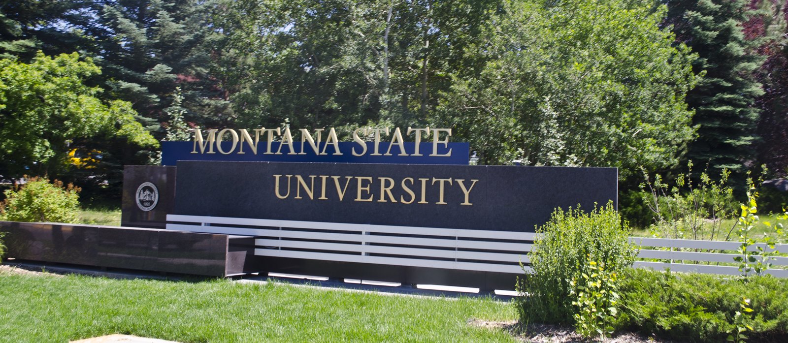 Montana State University, Bozeman