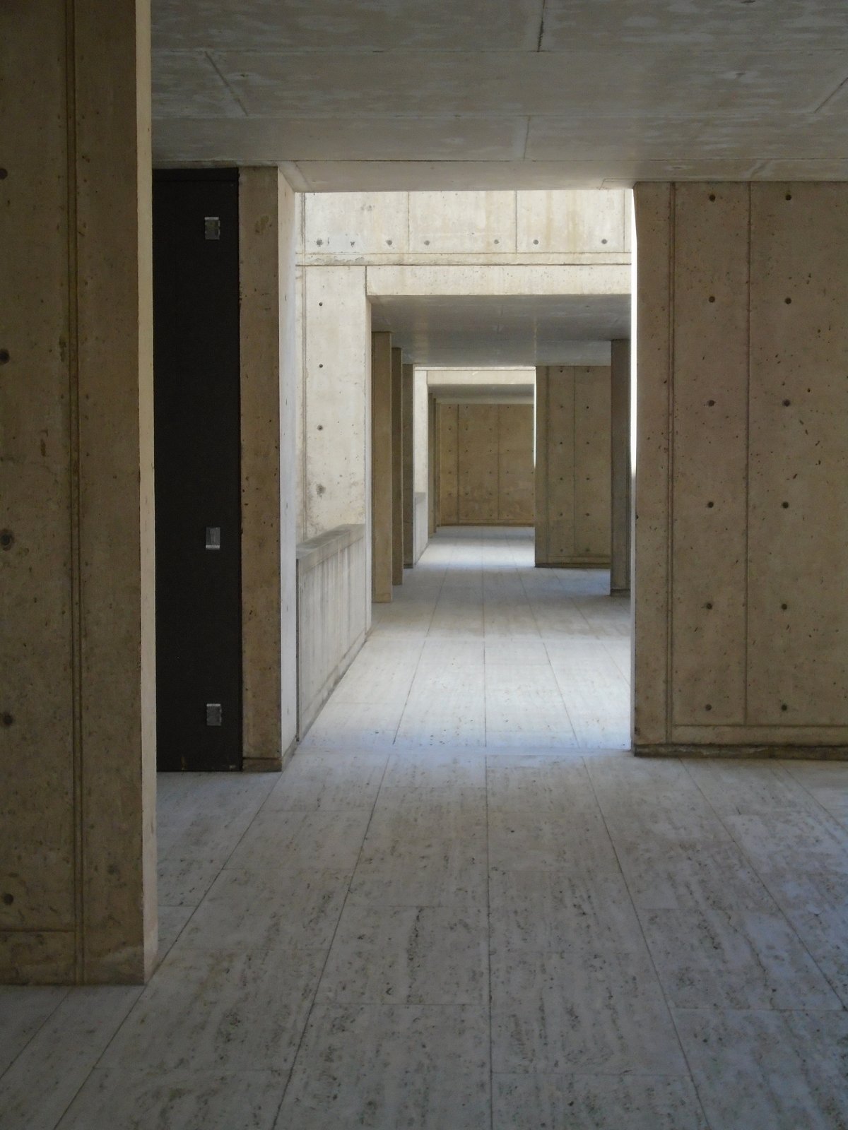 Salk Institute for Biological Studies