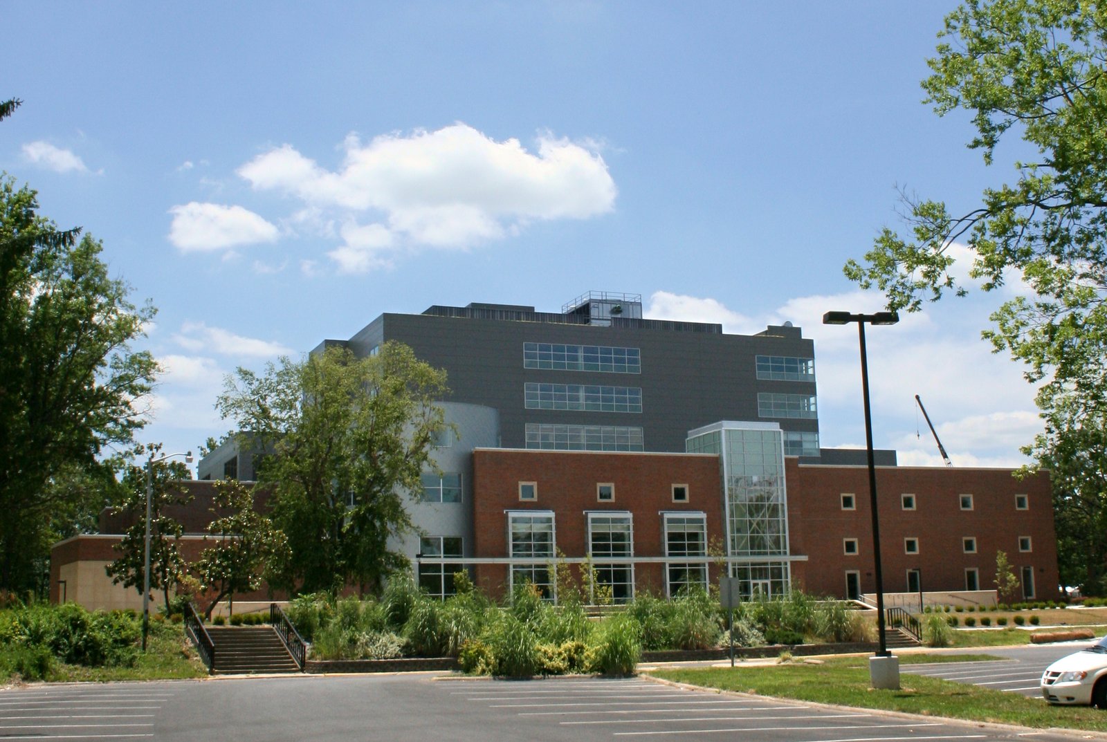 Southern Illinois University, Carbondale