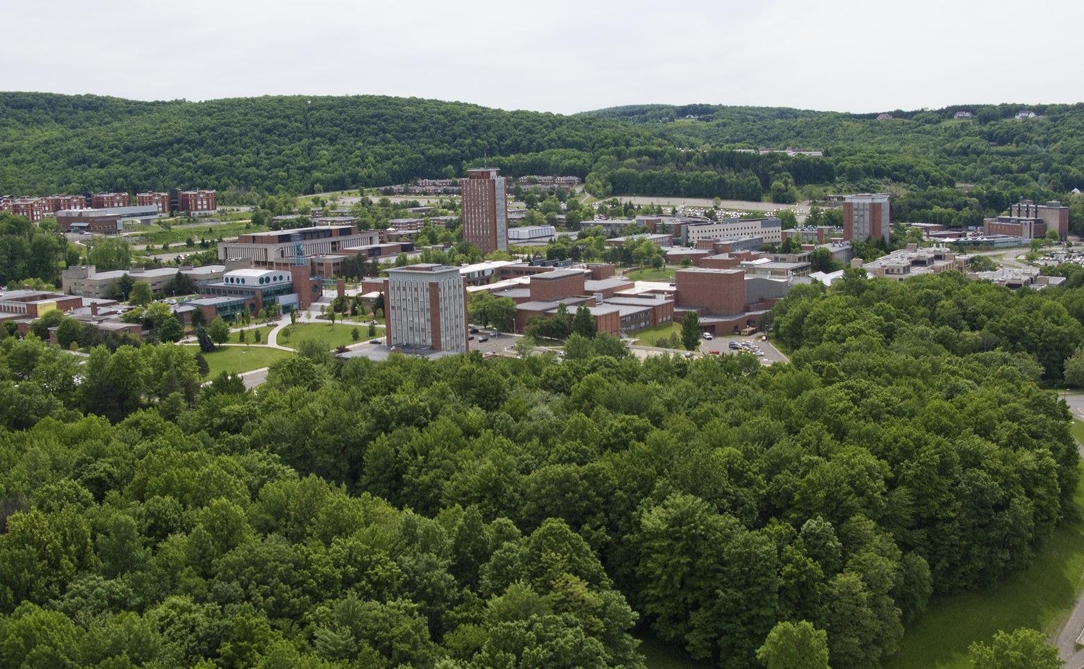 Binghamton University (SUNY)