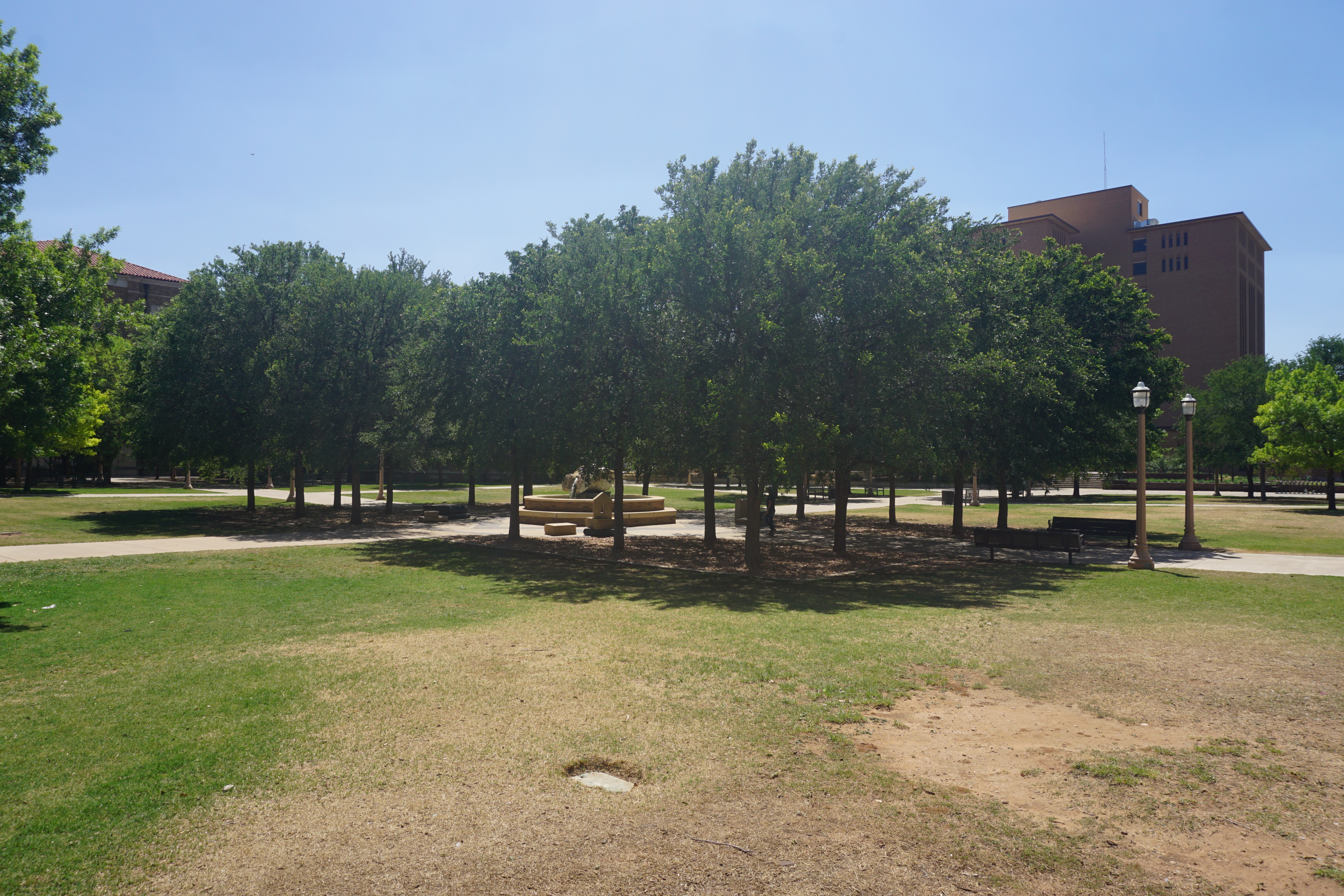 Texas Tech University