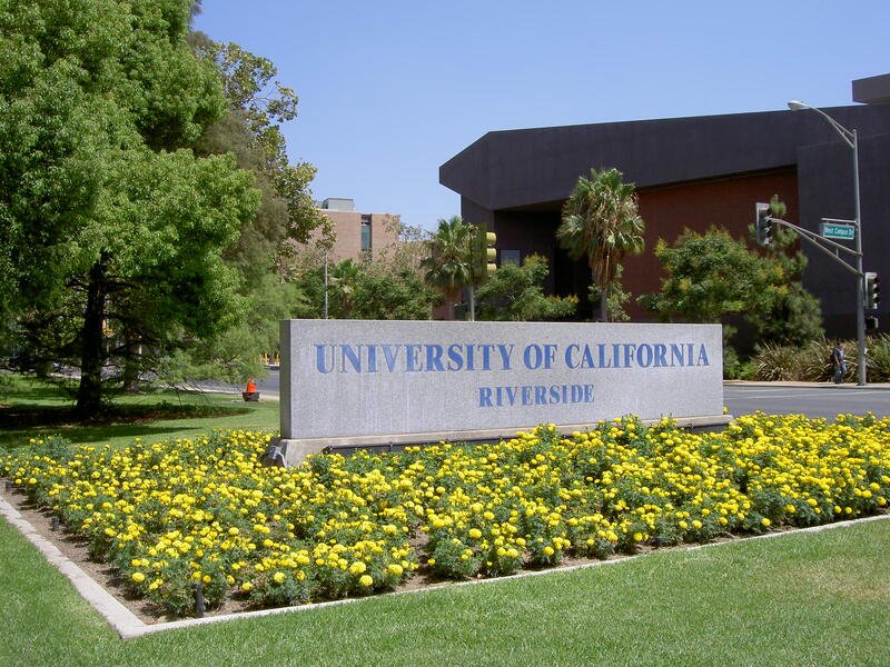 University of California, Riverside