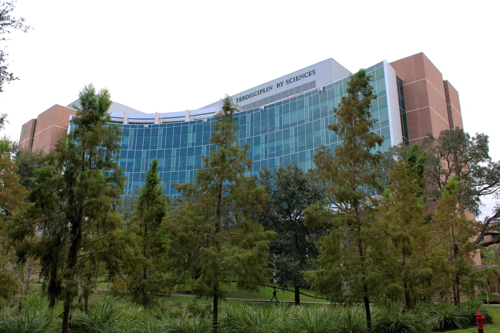 University of South Florida