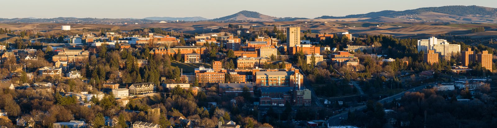 Washington State University
